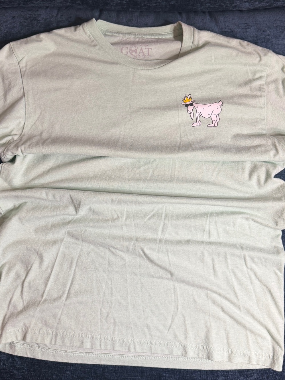 GOAT USA Mint Green Graphic Tee with Crowned Goat